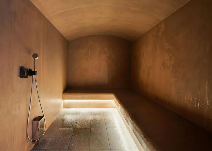 Luxe A 1850 Avec Et Acces Bien-etre - Fr-1-830-11