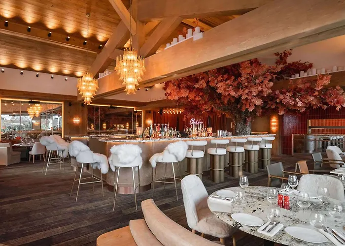 Luxe A 1850 Avec Et Acces Bien-etre - Fr-1-830-11